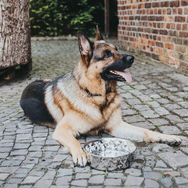 Миска для тварин Hunter Namy 3800 мл, нержавіюча сталь, срібляста