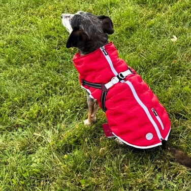 Водонепроникна тепла куртка для собак 2-в-1 з інтегрованою шлейкою - Зимова куртка для собак з відбиваючими елементами, вітронепроникна та легка, ідеальна для осені та зими, червона, розмір L