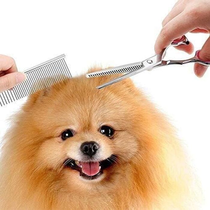 Набір для грумінгу собак та котів: професійні ножиці, тример, щітка, для догляду за шерстю