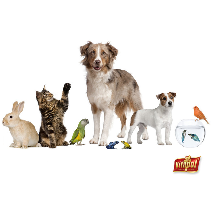 Клітка для птахів Panama Pet, 42x30x57 см, срібляста/бронзова