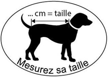 Елегантний собачий дощовик Wouapy Groov, розмір 30: захист від негоди