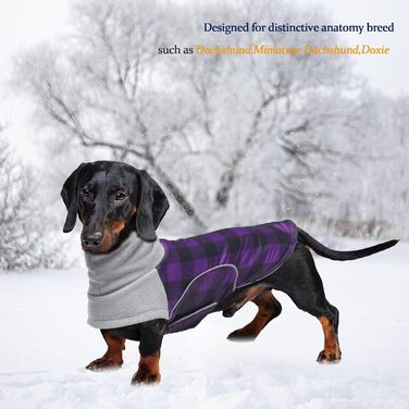 Водонепроникна зимова куртка для маленьких собак, мініатюрний джек-рассел, куртка для собак з отвором для шлейки, ідеальна для прогулянок, походів, кемпінгу, розмір (xs, фіолетовий в клітинку)