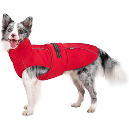 колір: гниль