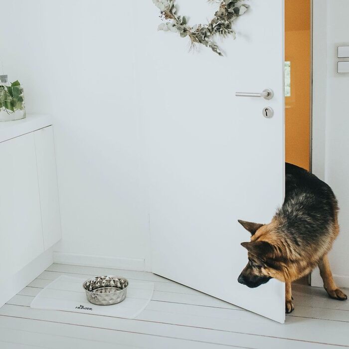 Миска для тварин Hunter Namy 3800 мл, нержавіюча сталь, срібляста