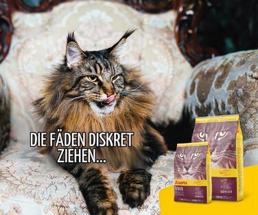 Сухий корм для літніх котів JOSERA Senior, без пшениці, 10 кг