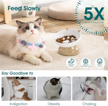 Васко керамічний годівниця для котів, піднятий миска, похилий дизайн, коричневий