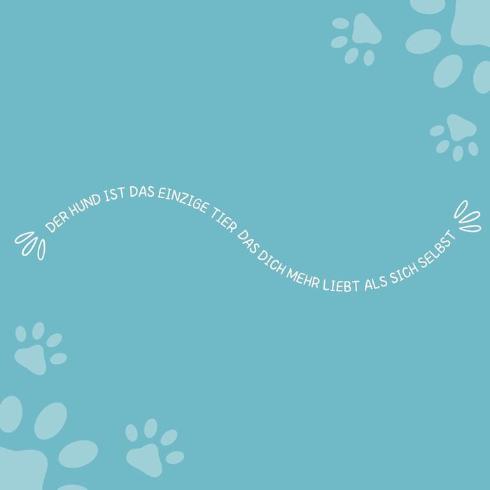 Ліжко для собак Odolplusz: м'який кошик-софа для маленьких собак, 50x40 см (сірий) | з наповнювачем з силіконових кульок | гіпоалергенне