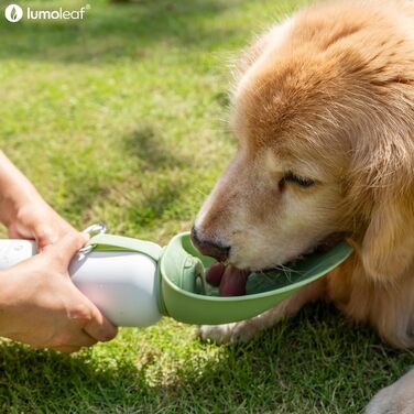 LumoLeaf Ізольована термофляга для собак, 800 мл - Зберігає воду холодною або теплою годинами, міцна та портативна для подорожей, широке горлечко для зручного наповнення та миття (Зелена, 800 мл)