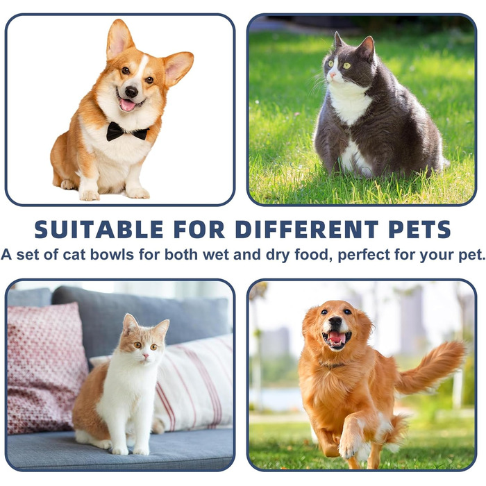 Набір мисок для котів з кераміки, 6 шт. - плоскі миски для котів та дрібних тварин, сучасний дизайн