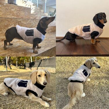 Теплий флісовий пуловер для собак Дакель, зимовий одяг (XS, гірчичний) - XS: 37 см, M: 45 см