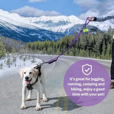 Нашийник для собак IOKHEIRA: регульований поводок (1,2-1,5 м) з безпечним кріпленням, м'який на дотик, з світловідбиваючими нитками (неоновий зелений, сливовий ліловий)