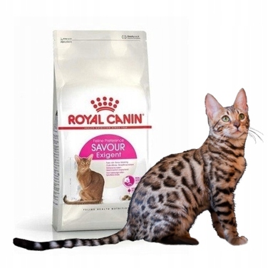 Сухий корм для котів Royal Canin Exigent Savour 10 кг для вибагливих котів