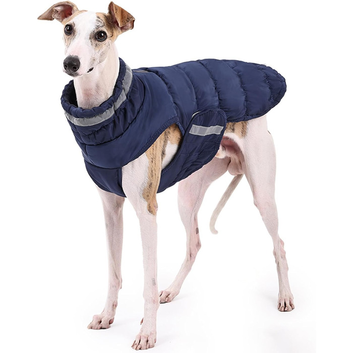 Легкий теплий дощовик для собак великих та середніх порід, нейлон, блакитний, 3XL