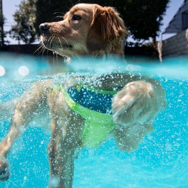 Спасальний жилет для собак Outward Hound Standley Sport Green, розмір S (обхват грудей 41-51 см)