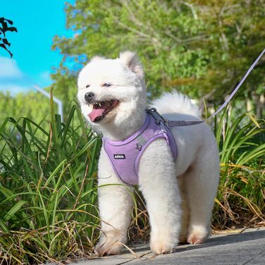 Нашийник та поводок для цуценят, комплект для прогулянок, нашийник-трансформер, м'який, дихаючий, аксесуари для домашніх тварин, світловідбиваючі смуги, для дуже маленьких собак та котів, XXXS (Обіх: 21.5 - 25.5 см)