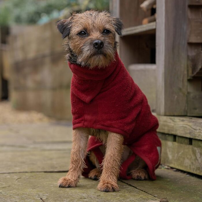 Руф та Тамбе Сухий корм для собак - Касичний Коекшн (Шипшина, Маленький)