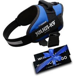 Пояс для собак Julius K-9 IDC Powergeschirre, індивідуальні написи, великий, середній, малий, 16IDC+CUSTOMP-ANT (Блакитний)