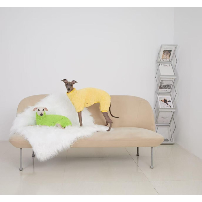 Теплий флісовий комбінезон для собак з мотивом такси, флісовий светр, підходить для такс, зимовий, м'який, зручний, піжама для собак, одяг (темно-зелений, розмір M), темно-зелений (XS(2.5kg), світло-зелений)