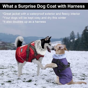 Водонепроникний теплий зимовий одяг для собак: куртка з отвором для повідка, для чихуахуа, французького бульдога, малих та середніх порід