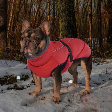 Теплий зимовий одяг для собак IECOii, великий розмір (обхват грудей 53-62 см), червоний, з регулюванням, світловідбиваючий, з флісовим коміром