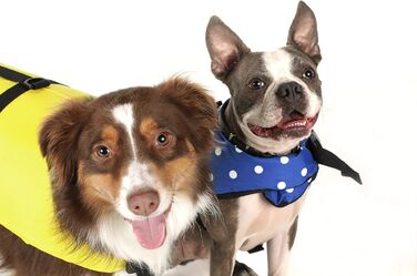 Жилет рятувальний для собак Seachoice 86260, розмір XXS (до 2,7 кг), блакитний у горошок, з ручкою