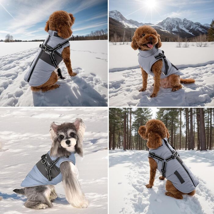 Теплий зимовий одяг для собак, куртка та повідки для маленьких та середніх собак, блакитний XL, сірий