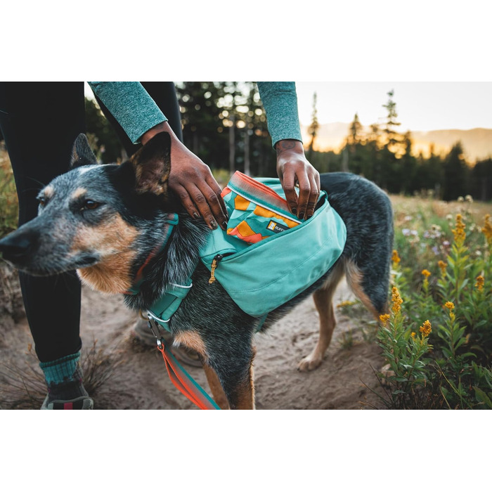 Ruffwear Quencher: Портативний складний миска для води для собак, Ruffwear, Spring Mountains M