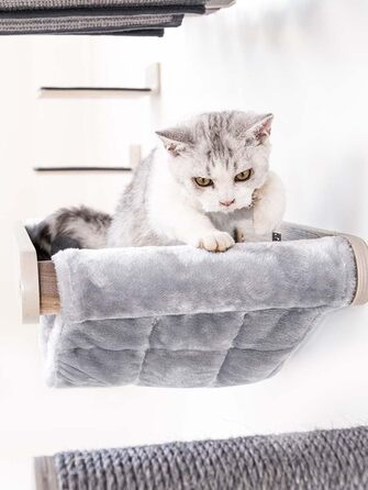 Petrebels Лазіння стіна для котів, підвісна лежанка Lazy 50 см, настінний дряпак преміум, котяче ліжко, монтаж на стіну, дерево, колір дуб-антрацит