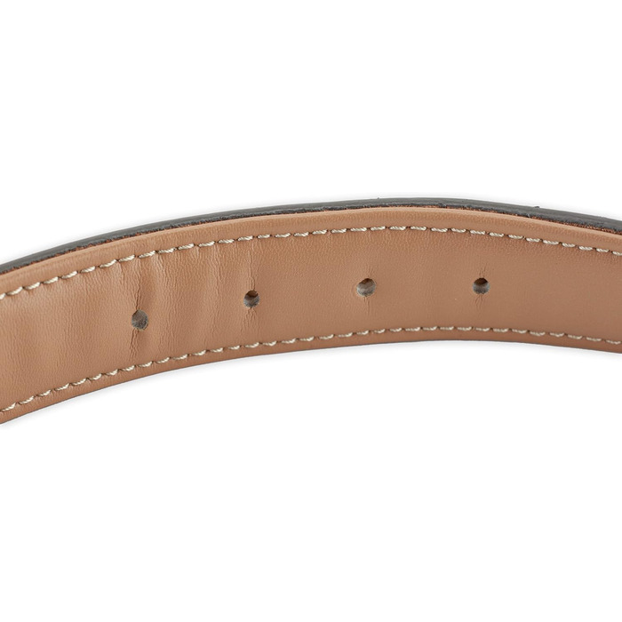 Лідяний нашийник для собак Brute Strength - світло-сірий, розмір L (46-53 см)