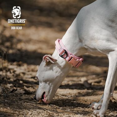 Нашийник для собак OneTigri, тактичний, м'який, з широкою кунттофчасною застібкою та кільцем з алюмінієвого сплаву, (30-40 см), рожевий, XS