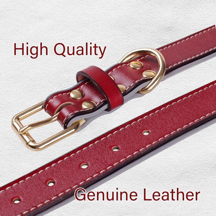 Нашийник для собак з червоної шкіри - якісний, м'який, з відбиваючими елементами та золотистою блискавкою для собак малих, середніх та великих порід