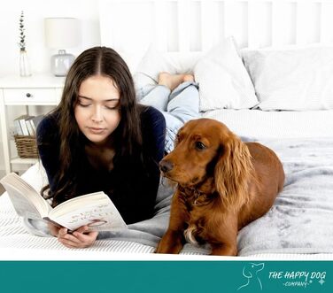 Водонепроникний коврик для собак великих порід - м'який фліс, зручний для дивана, авто, ліжка та захисту меблів, двосторонній, 100 x 120 см, сірий/сірий, фланель/шерпа