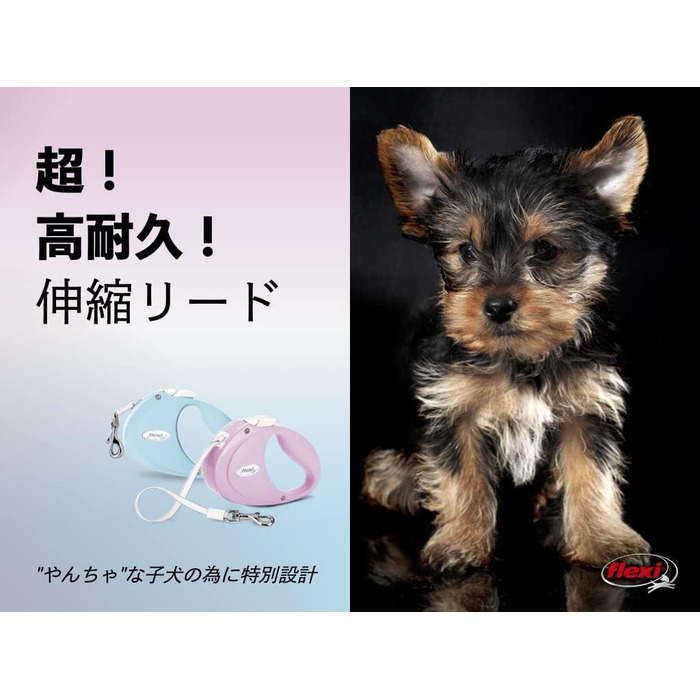 Рулетка для собак і котів Flexi Hundeleine, 2 м, блакитна