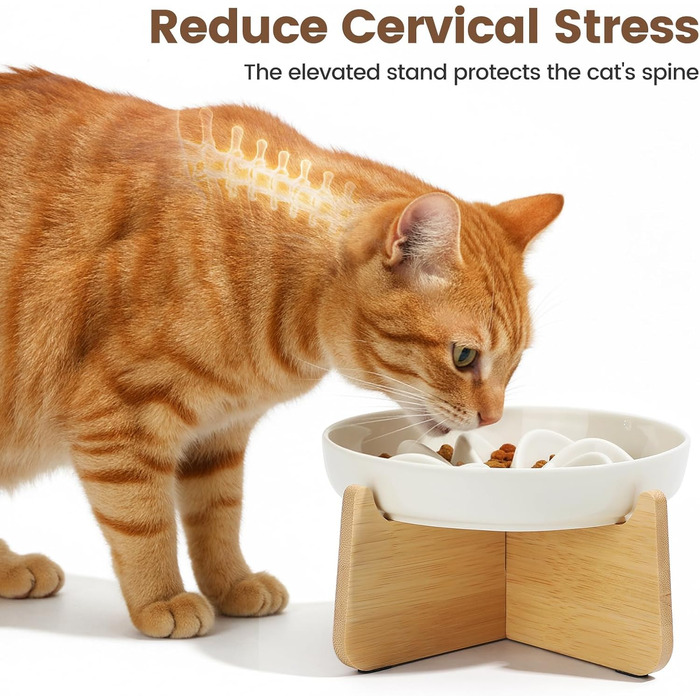 PETTOM Миска для котів протиковзаюча піднята, керамічна миска для котів, повільна годівниця для котів, миска протиковзання для котів та маленьких собак, біла миска + підставка (миска біла-квітка + підставка)