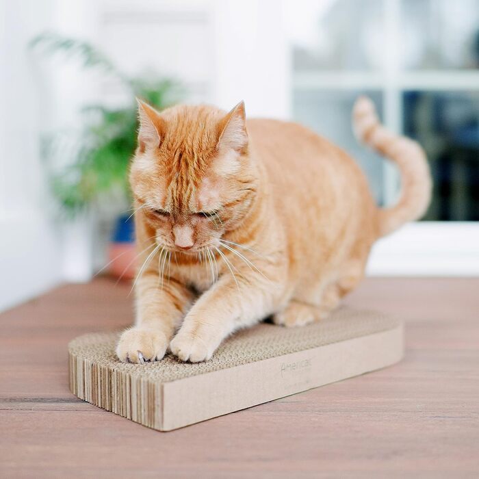 Кігтеточка для котів Americat XL, двостороння, з картону, міцна, без ворсу, довговічна