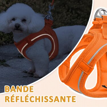 Нашийник для котів Qianruida з повідком, регульований, зручний, дихаючий, світловідбиваючий (Помаранчевий, XS)