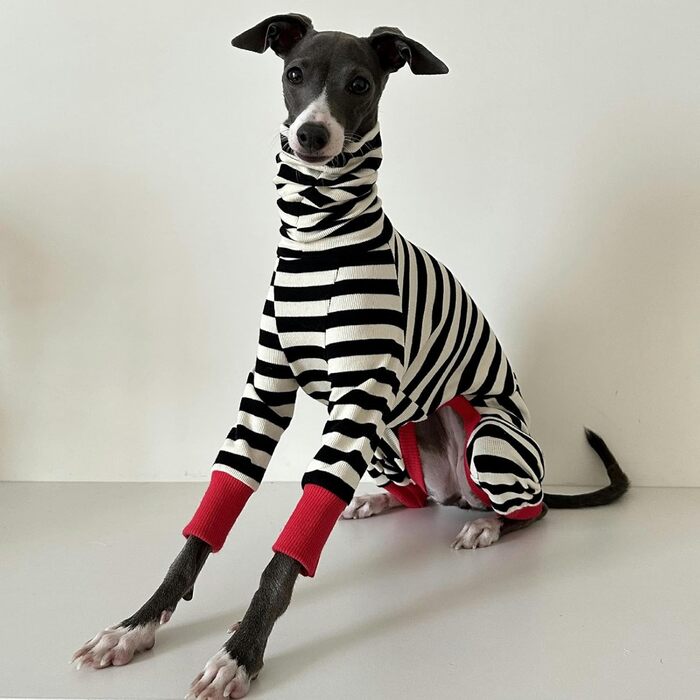 Піжама для італійського грейхаунда – бавовняний комбінезон для собак, весняно-осінній, теплий, для малих, середніх та великих собак, одяг для віппетів