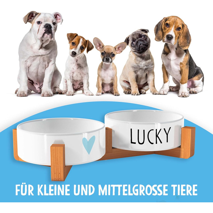 OWLBOOK Миска для собак з гравіюванням імені, подвійна миска для корму та води, кераміка, бамбук, 300 мл (синя зіркочка)