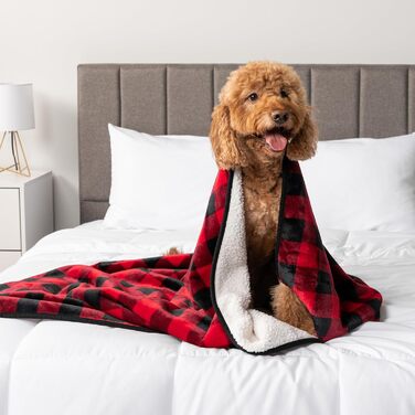 Водонепроникний плед для собак PetAmi, 60 x 80 см, рожевий, великий, для ліжка, дивана, миски, собак та котів, миючий, двосторонній