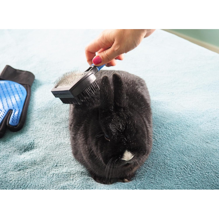 Набір для догляду за тваринами 7 предметів: щітка для шерсті, ножиці для шерсті, ножиці для кігтів, рукавичка для вичісування, щітка для ворсу, щипці для кліщів, для собак, котів, дрібних тварин