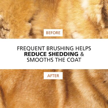 Висковушка Wahl Premium для собак і котів з ергономічною ручкою - професійний догляд за шерстю, 858500