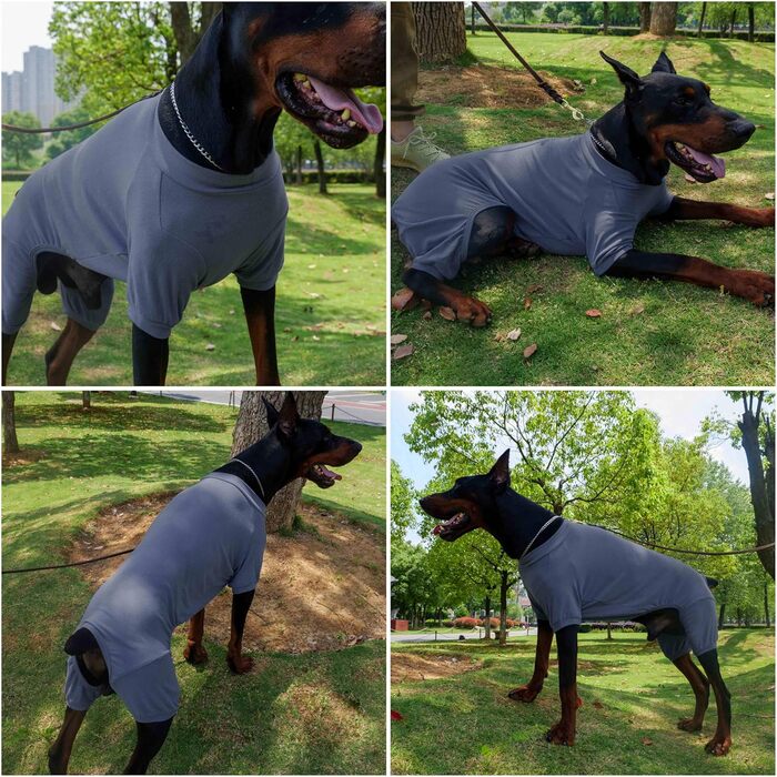 Піжама для собак Lovelonglong, бавовна, трикотаж, 4 лапи, для всіх сезонів, теплий боді для великих, середніх та маленьких собак, колір кава, розмір L (XL для середніх собак), сіро-блакитний