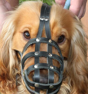 Шкіряна маска для собак L&J Pets для мопсів, пуделів, хаскі та інших собак з подібним розміром морди (5, Чорний) Чорний 5