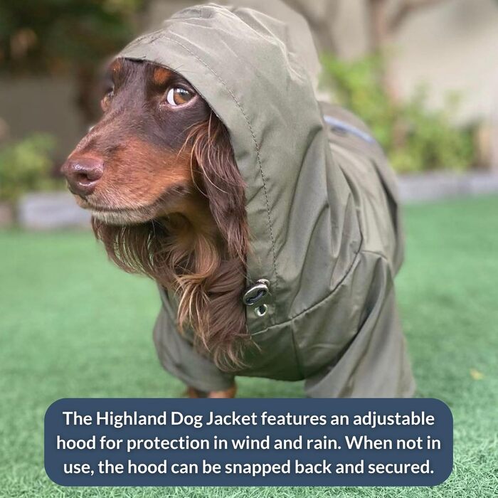 Водонепроникний дощовик для собак DJANGO Highland, оливковий, M (Medium), з капюшоном та отвором для шлейки