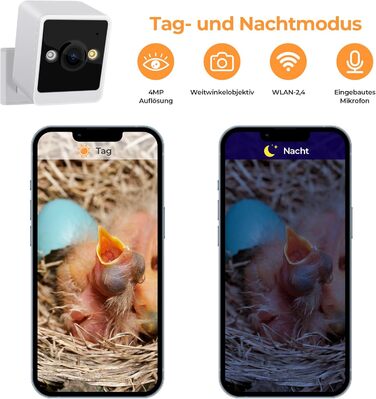 RAINBEAN розумний шпаківня з камерою 4MP для спостереження за птахами, зовнішній Wi-Fi відеоспостереження, AI-розпізнавання, DIY встановлення