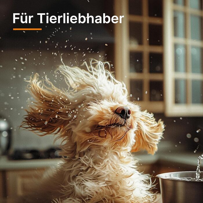 THOMAS Aqua+ PET & Family – потужний пилосос 1700 Вт для прибирання шерсті тварин – мокрий та сухий пилосос, чищення м'яких меблів та підлоги з функцією миття. Підходить для килимів, диванів, меблів та матраців.