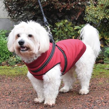 Теплий зимовий нашийник для собак Bobby Easy з інтегрованим повідком, Bordeaux, 34 см