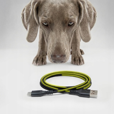 Автоматичний годувальник для сухого корму для собак Peluvio Crispy, 4.5 л