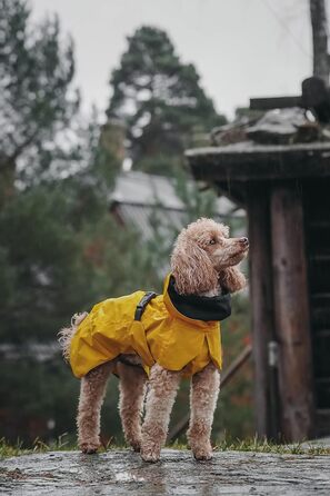Жовтий дощовик PAIKKA Sichtbarkeit Lite – яскравий та легкий для активного відпочинку