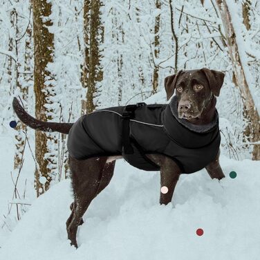 Зимовий теплий теплий одяг для собак IECOii, чорний, регульований, з пряжкою, флісова комір, для маленьких, середніх та великих собак (Large, обхват грудей 53-62 см)